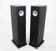Trenner & Friedl Dizzy Floorstanding Speakers
