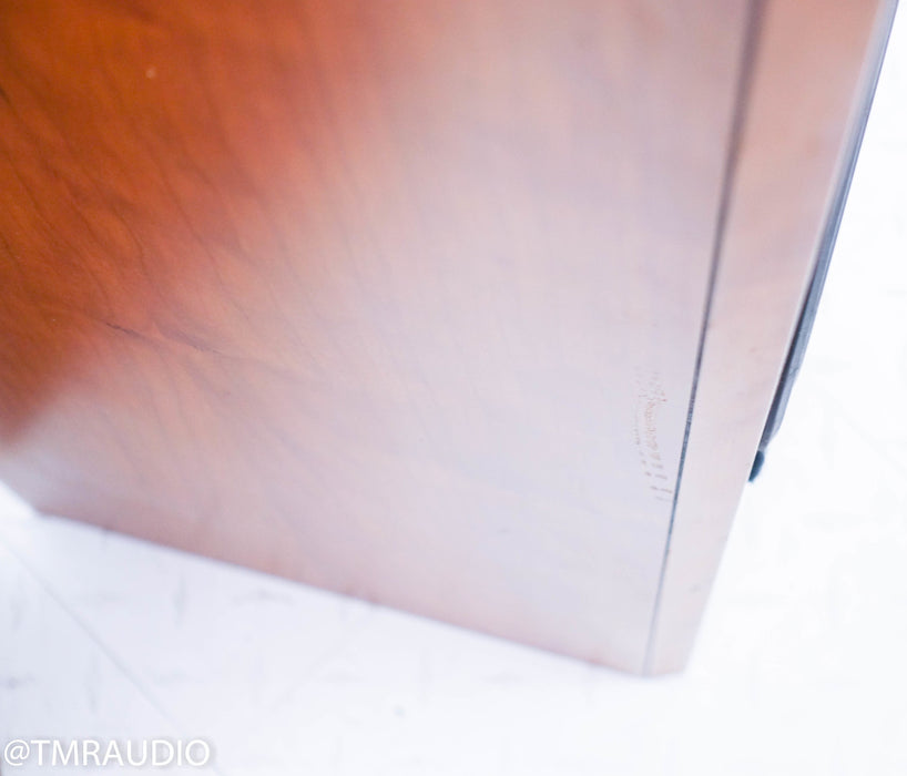 B&W P6 Floorstanding Speakers