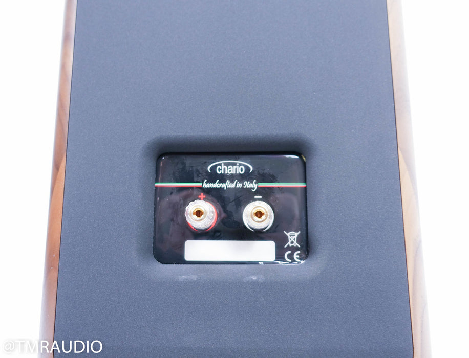 Chario Ursa Major Floorstanding Speakers