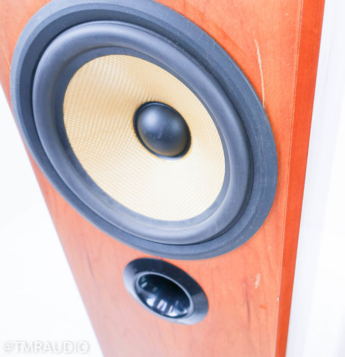 B&W P6 Floorstanding Speakers