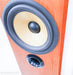 B&W P6 Floorstanding Speakers