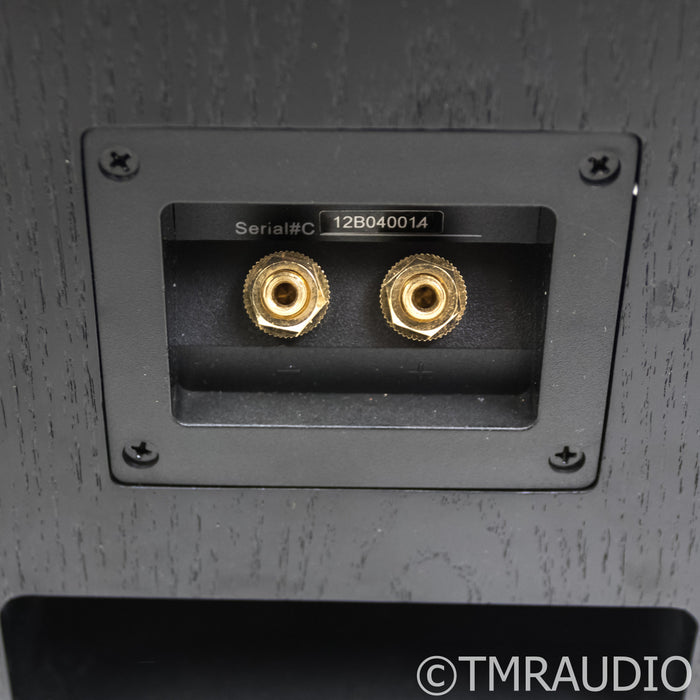 Anthony Gallo Acoustics Nucleus Classico Series IV Floorstanding Speakers