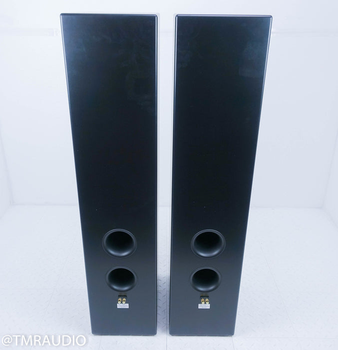 Tekton Design Double Impact Floorstanding Speakers