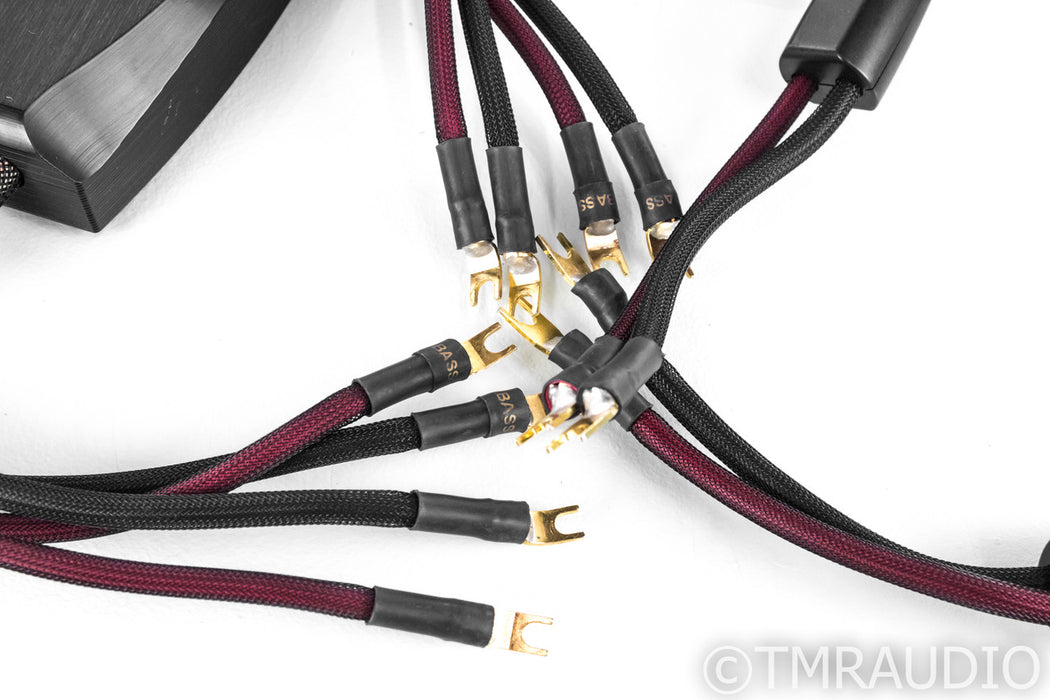 Transparent Audio MusicWave Ultra Bi-Wire Speaker Cables; 10ft Pair