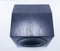 Anthony Gallo Classico CLS-10 10" Powered Subwoofer