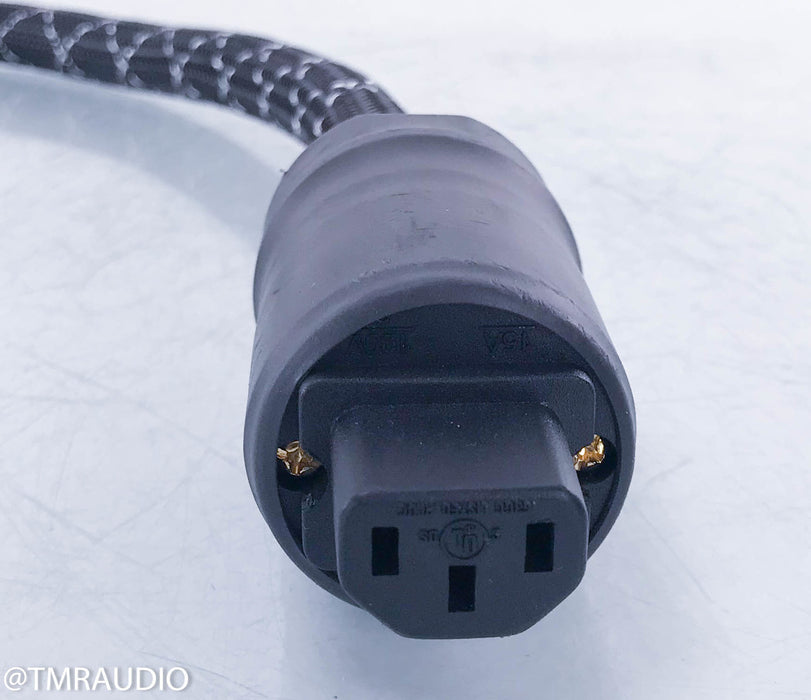 Acoustic Zen Tsunami III Power Cable
