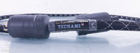 Acoustic Zen Tsunami III Power Cable