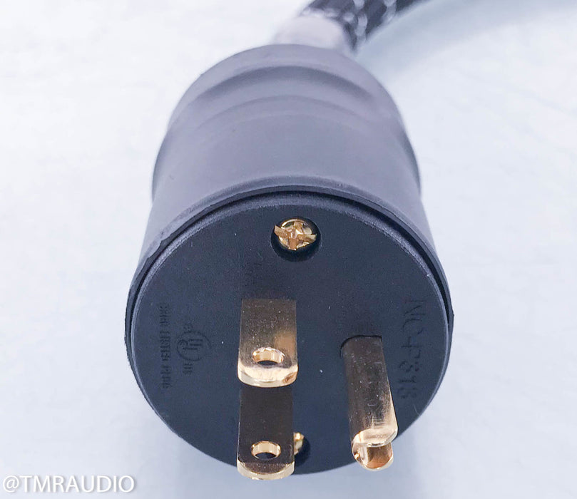 Acoustic Zen Tsunami III Power Cable