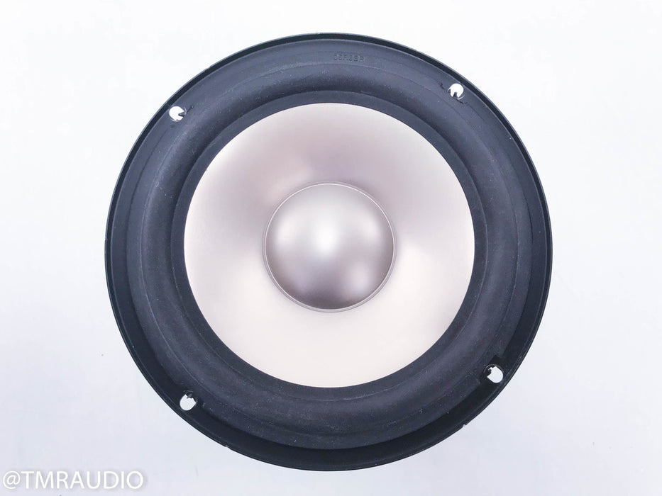 Titanium Cone Woofer / Midwoofer