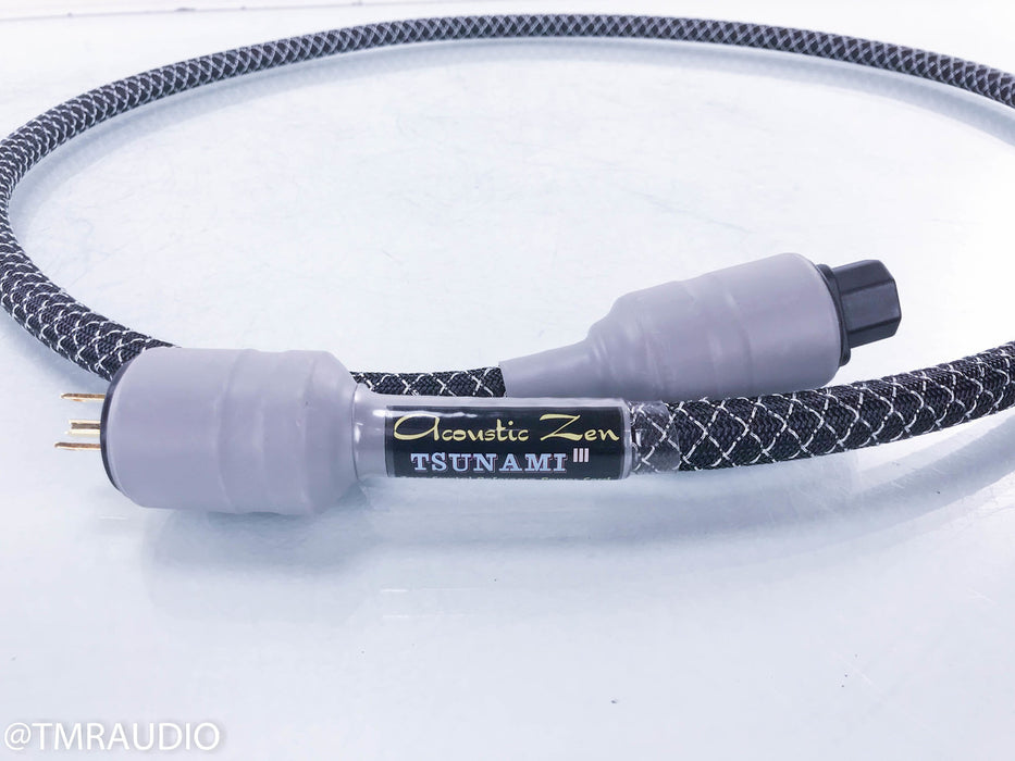 Acoustic Zen Tsunami III Power Cable
