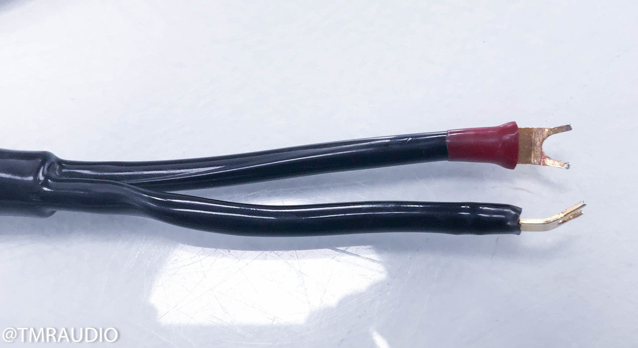 Transparent Audio MusicWave Plus Speaker Cable