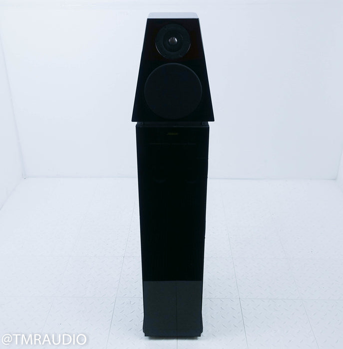 Meridian DSP 6000 96/24 Speaker
