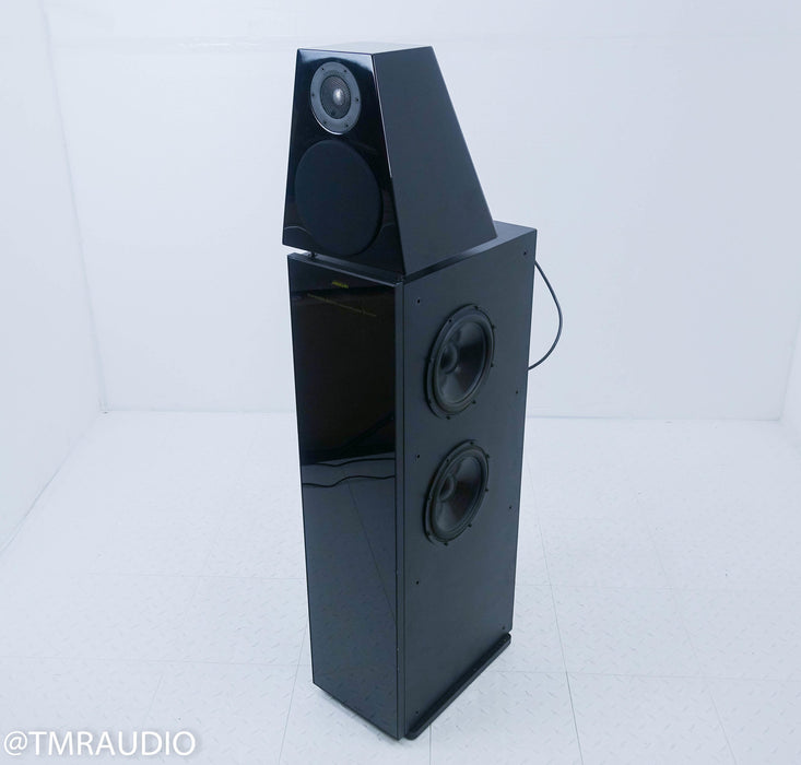 Meridian DSP 6000 96/24 Speaker
