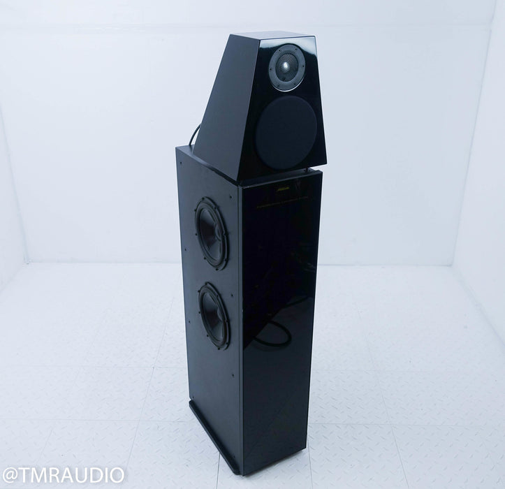 Meridian DSP 6000 96/24 Speaker