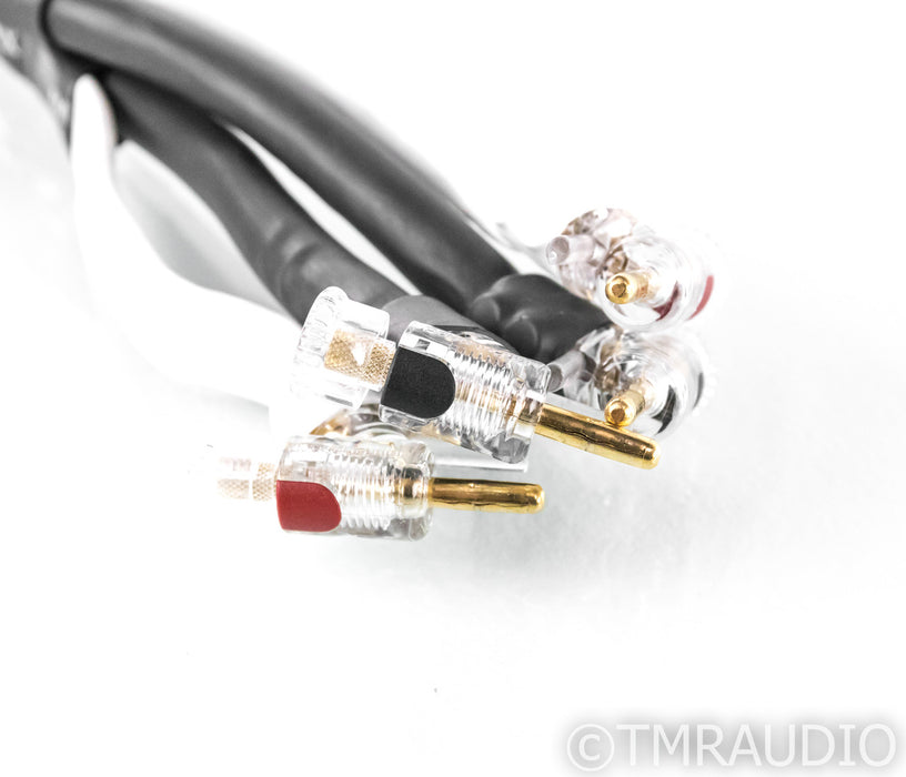 Analysis Plus Silver Apex Speaker Cables; 5ft Pair