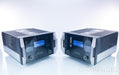McIntosh MC2301 Mono Tube Power Amplifier
