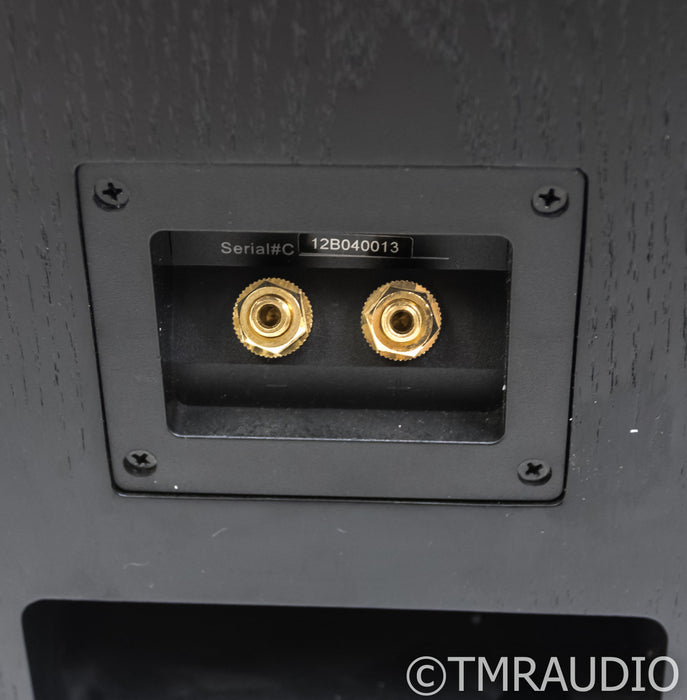 Anthony Gallo Acoustics Nucleus Classico Series IV Floorstanding Speakers