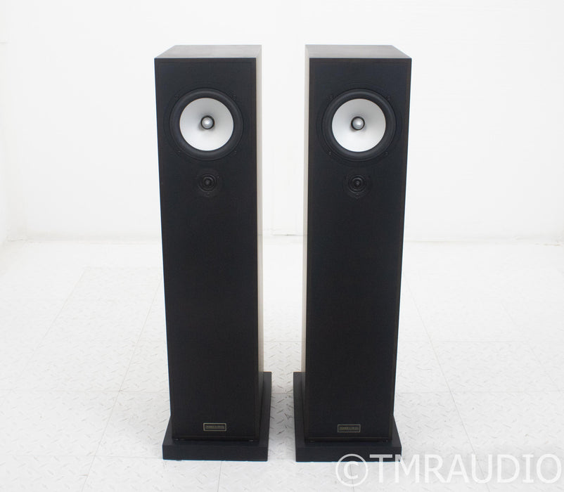 Trenner & Friedl Dizzy Floorstanding Speakers