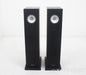 Trenner & Friedl Dizzy Floorstanding Speakers