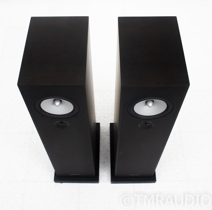 Trenner & Friedl Dizzy Floorstanding Speakers