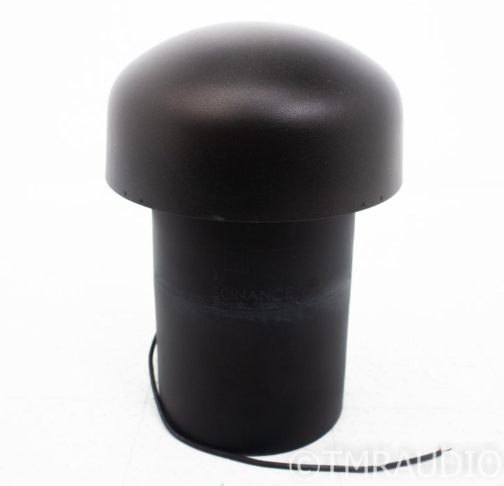 Sonance LS12T SUB 12" Passive In-Ground Outdoor Subwoofer