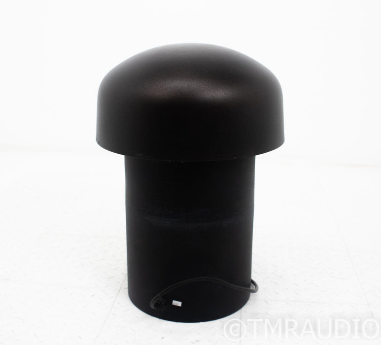 Sonance LS12T SUB 12" Passive In-Ground Outdoor Subwoofer