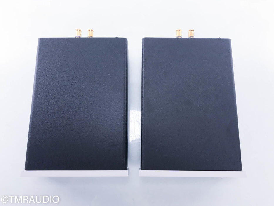 Bel Canto e.One REF1000M Mono Power Amplifier