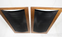 Martin Logan CLS Vintage Electrostatic Floorstanding Speakers