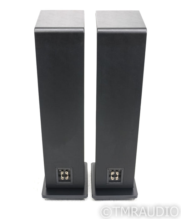 Sonus Faber Chameleon T Floorstanding Speakers