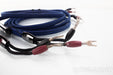 AudioQuest Gibraltar Speaker Cables; 8ft Pair; 72v DBS