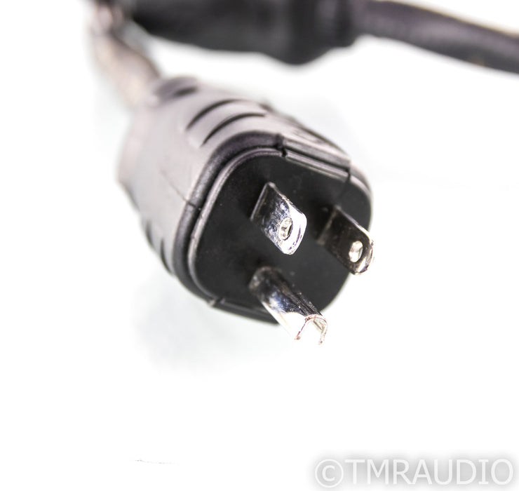 Audience AU24 SE MP Power Cable; 2ft AC Cord; Medium Power; AU24-SE