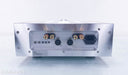 Dan D'Agostino Momentum S250 Stereo Power Amplifier
