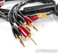 AudioQuest Rocket 88 Bi-Wire Speaker Cables; 8ft Pair; Gold Terminations; 72v DBS