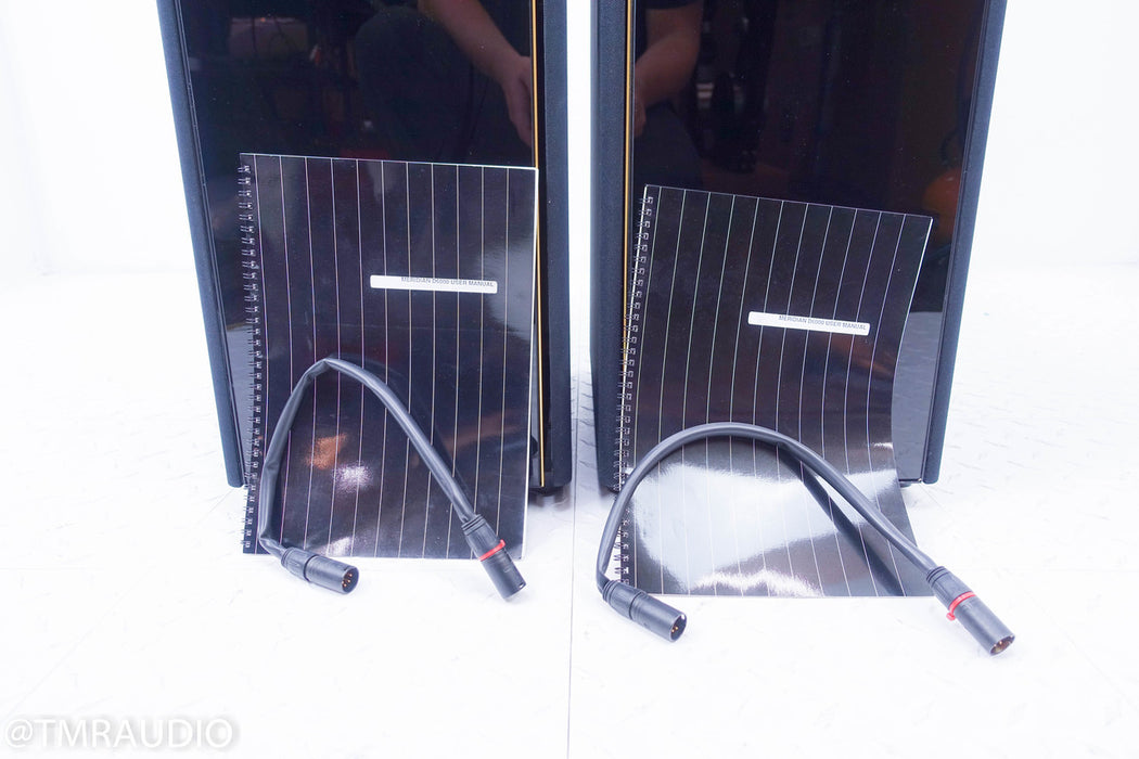 Meridian DSP 6000 Digital Active Floorstanding Speakers