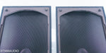Martin Logan Ascent Electrostatic Hybrid Floorstanding Speakers