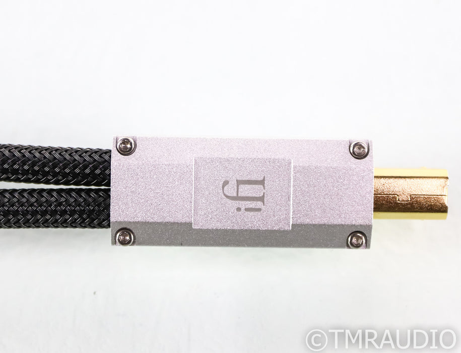 iFi Gemini Dual-Headed USB Cable; 0.7m Digital Interconnect
