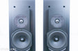 Thiel CS1.5 Floorstanding Speakers