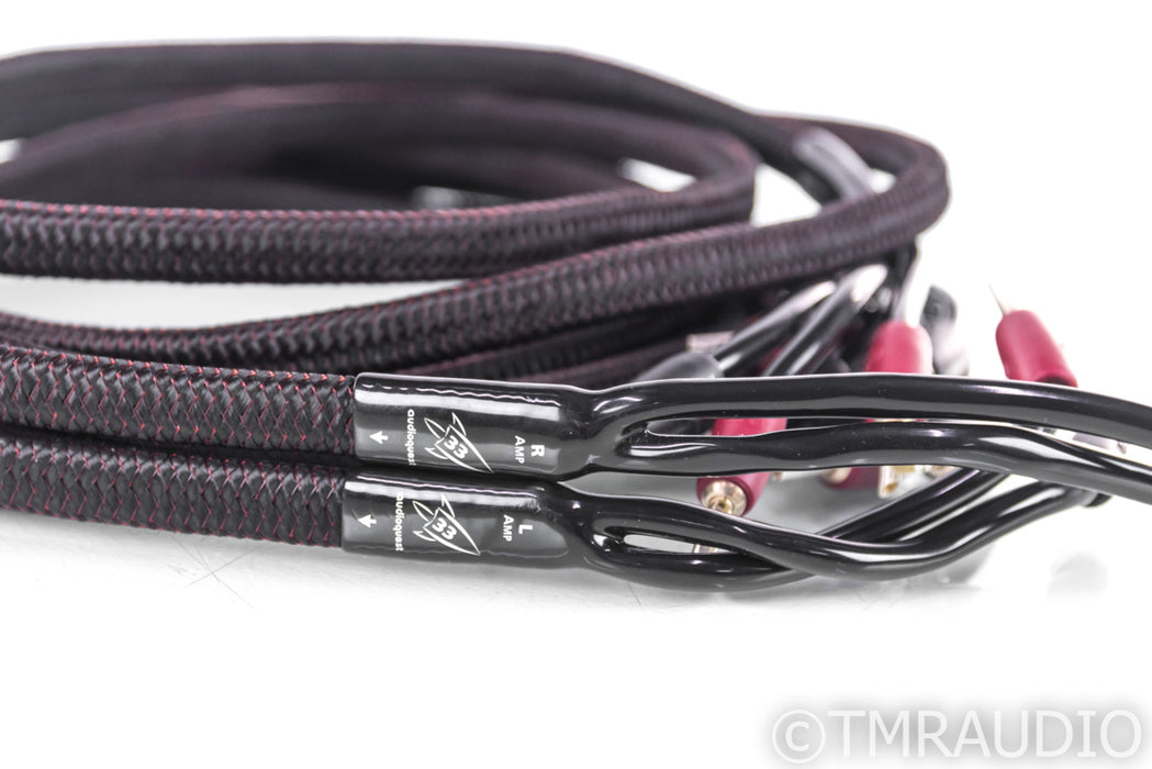 AudioQuest Rocket 33 Bi-Wire Speaker Cable; 10ft Pair