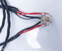 OCOS Triple Twisted Speaker Cables