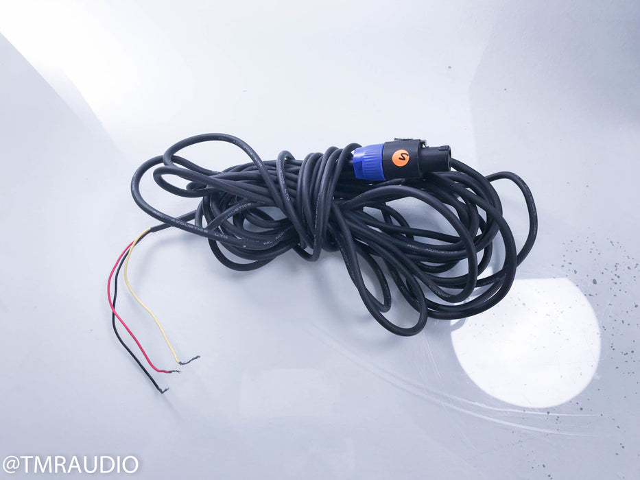 REL Stentor III Powered 10" Subwoofer