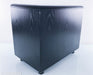 REL Stentor III Powered 10" Subwoofer