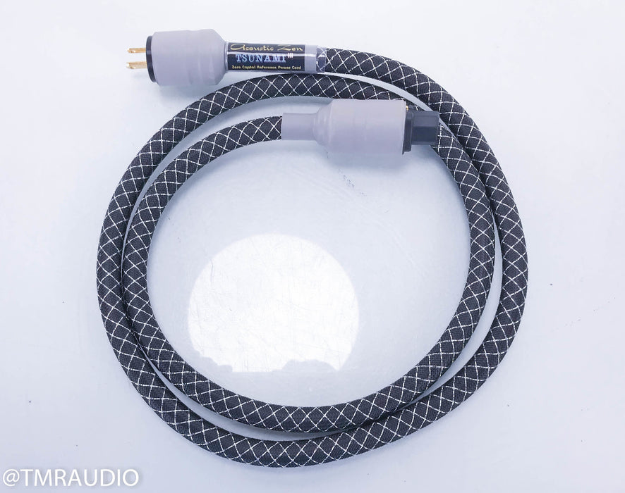 Acoustic Zen Tsunami III Power Cable