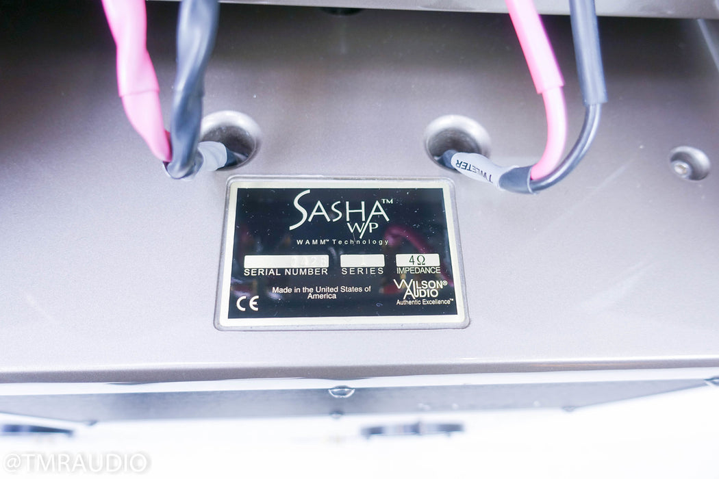 Wilson Audio Sasha Watt/Puppy Series 1 Floorstanding Speakers