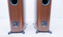 Dynaudio Contour 60 Floorstanding Speakers