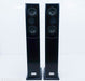 Salk Songtower QWT Floorstanding Speakers