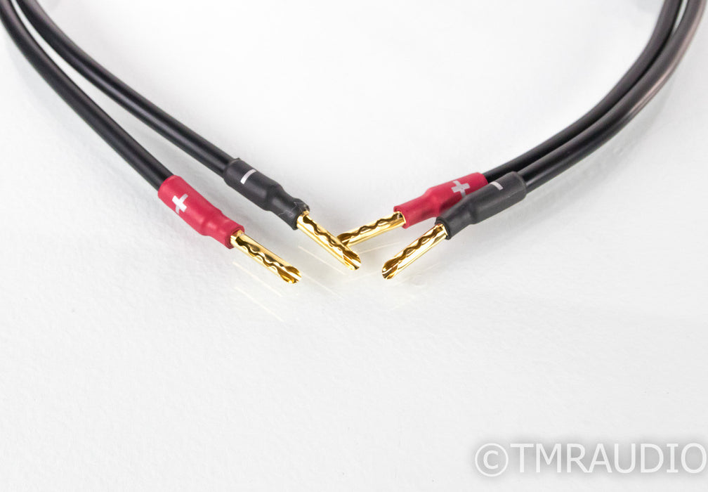 Synergistic Research Atmosphere X Excite Speaker Cables; 8ft Pair; Level 2