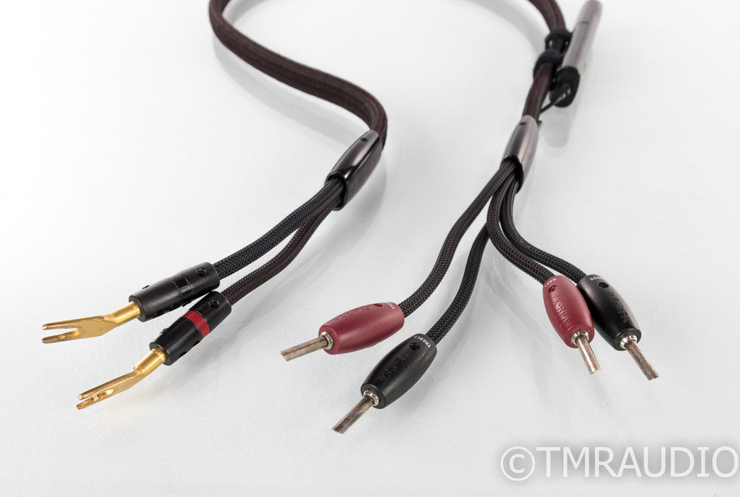 AudioQuest Comet Bi-Wire Speaker Cables; 4ft Pair; 72v DBS