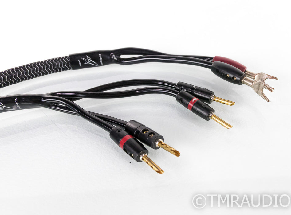 AudioQuest Rocket 44 Bi-Wire Speaker Cables; 6ft Pair