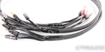 AudioQuest Rocket 44 Bi-Wire Speaker Cables; 6ft Pair