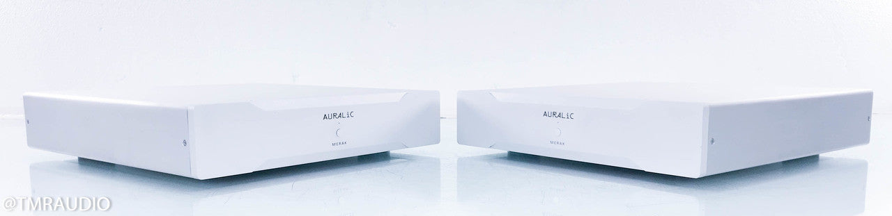 Auralic Merak Mono Power Amplifier